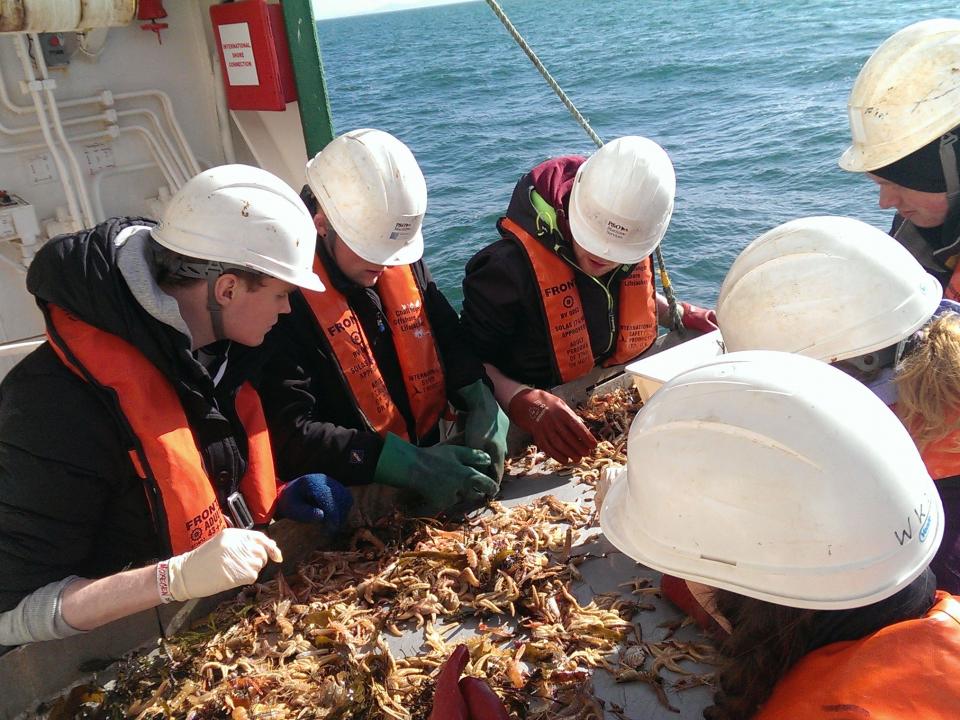GMIT Marine research students