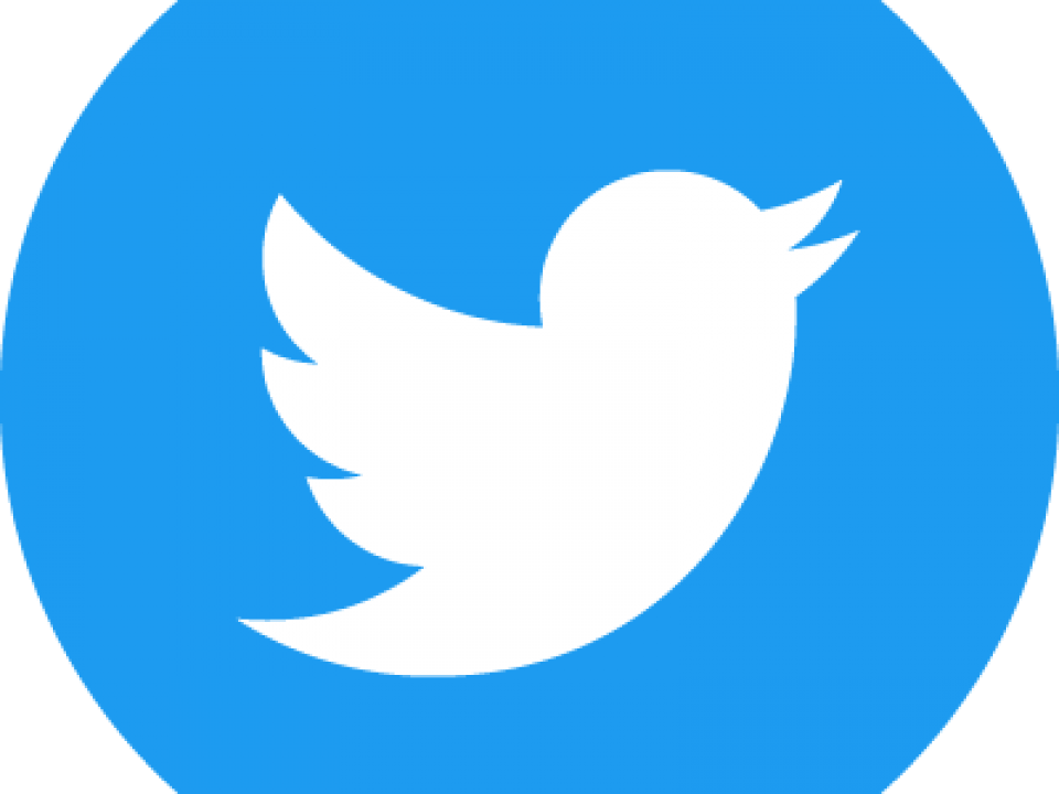 Twitter logo for use online